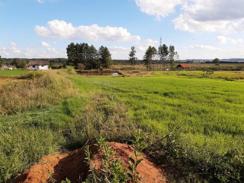 Terreno - Venda - Granja das Accias - Quatro Barras - PR