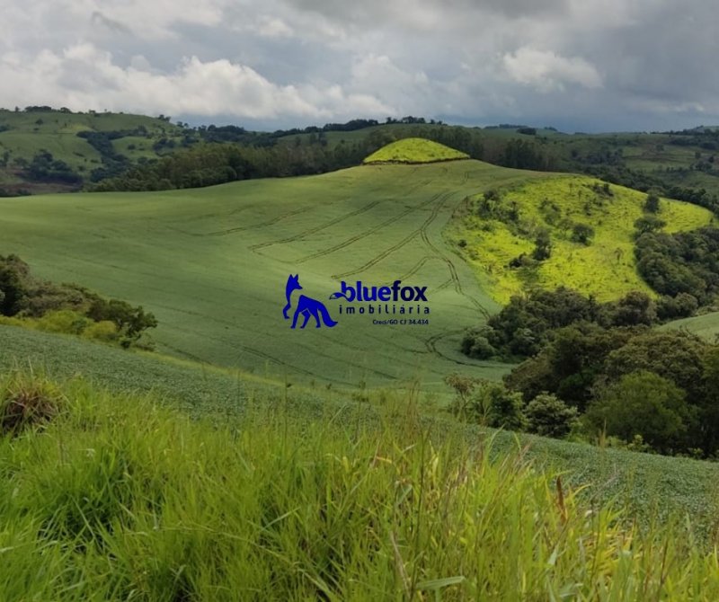 Fazenda - Venda - Marquinho - Marquinho - PR