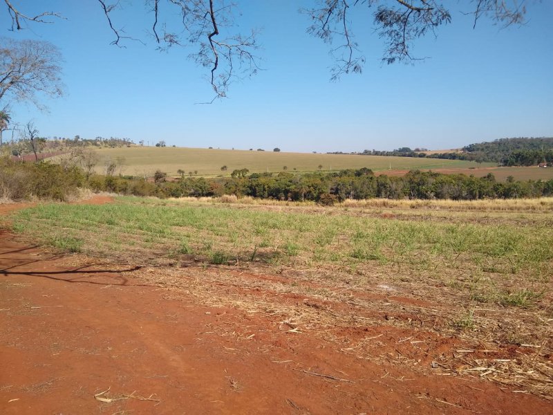 Fazenda - Venda - Bosque de So Carlos - So Carlos - SP