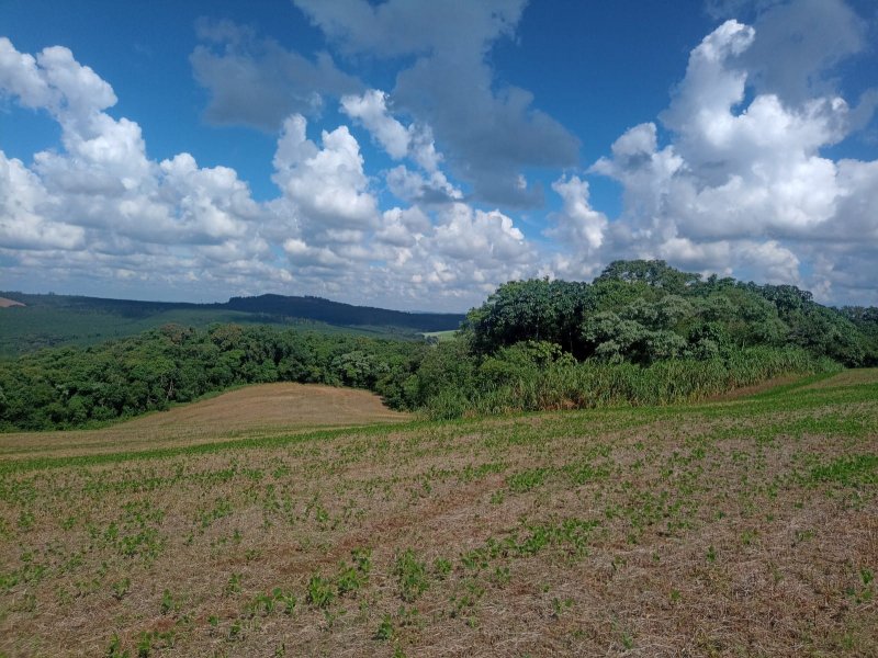 Fazenda - Venda - Zona Rural - Ortigueira - PR